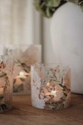 Hortensia Butterflies