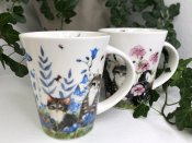 Mugg katter