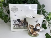 Mugg hund