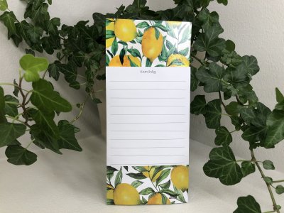 Block citroner citron