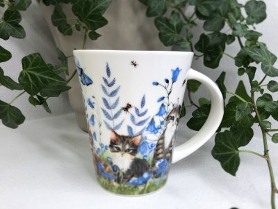 Mugg katt fika